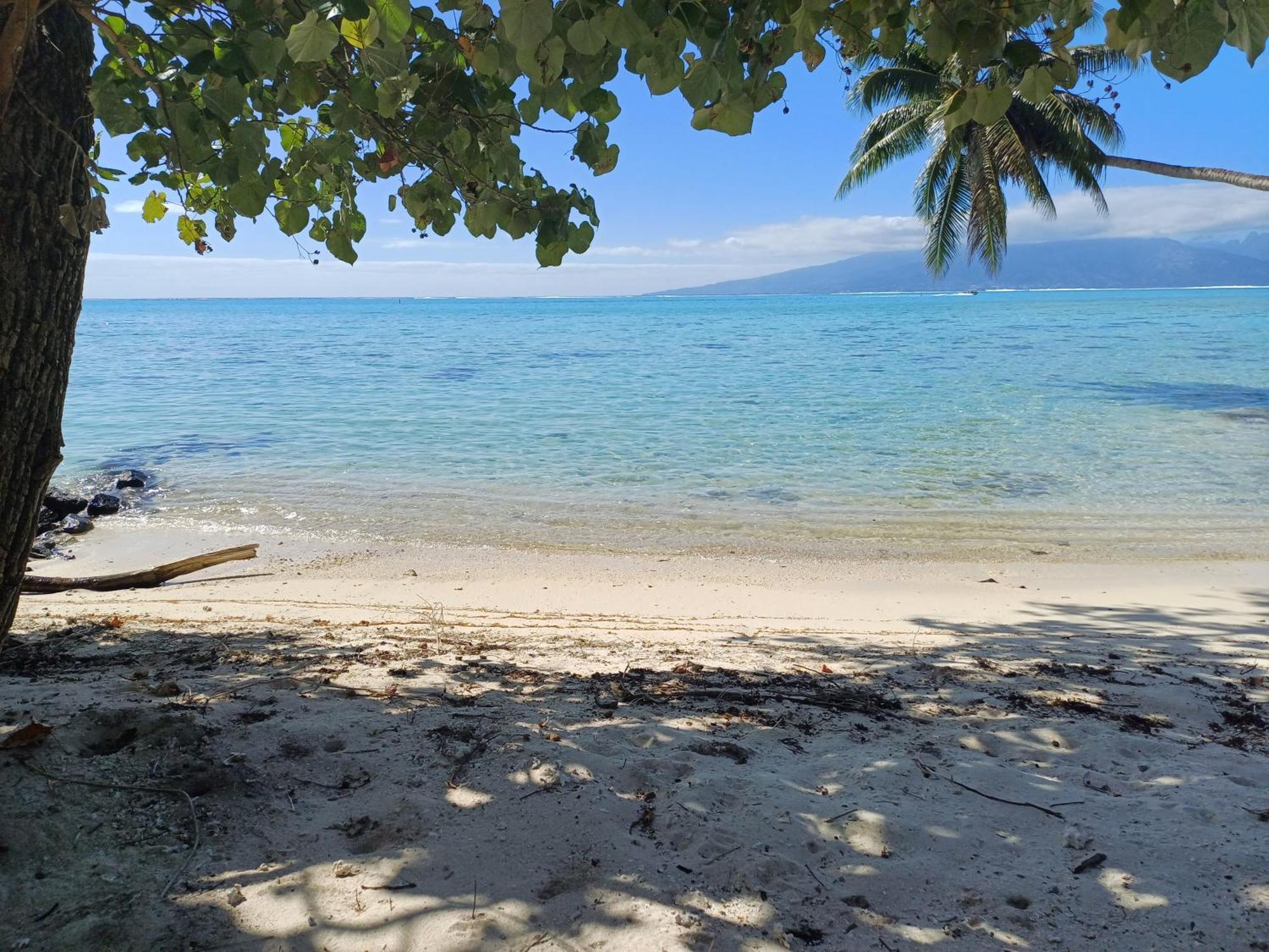 Villa Vairoarii Moorea Afareaitu Exterior photo